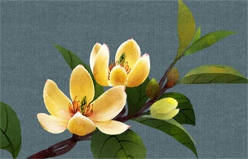 2026年农历二月初二这日子动土是否黄道吉日? 动土修造是否合适宜? 2026年农历二月初二这日子动土是否黄道吉日? 动土修造是否合适宜?