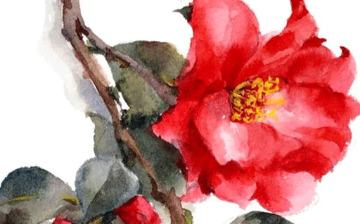 2026年02月06日动土可不可以？ 动土建房算不算好日子？