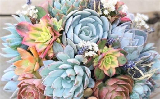 2026年农历二月初十这日子结婚旺不旺？ 办喜事是好日子吗？