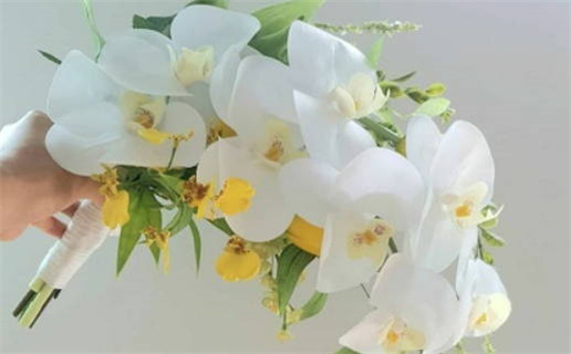 2026年04月01日结婚选的是良辰吉时吗？ 今日办婚礼合适吗？