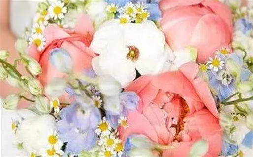 2025年11月05日这日子结婚旺不旺? 办喜事吉日宜忌 2025年11月05日这日子结婚旺不旺? 办喜事吉日宜忌