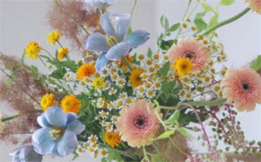 2026年02月20日是否是领证吉日 今日领证合适吗? 2026年02月20日是否是领证吉日 今日领证合适吗?