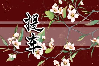 2025年08月28日是否宜提车？ 今日买新车适合吗？