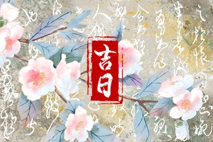 2025年10月23日提车可不可以？ 提车适合吗？