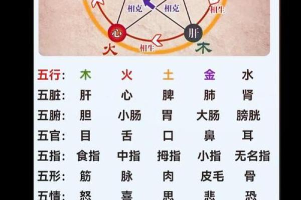 五行格局揭秘：性格解析，如何发现你的内在宝藏？