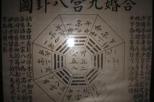 狗肖命理解析：如何通过命理改善运势？合婚时需注意什么