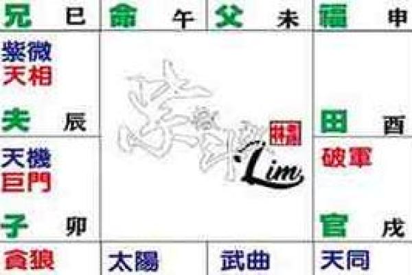 王凤仪命理揭秘：命运不同如何解？合婚八字中有哪些关键因素？
