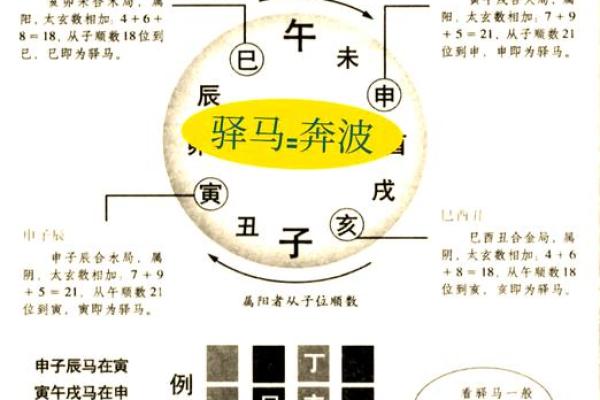 解析命理瘦的人八字中的转运秘诀