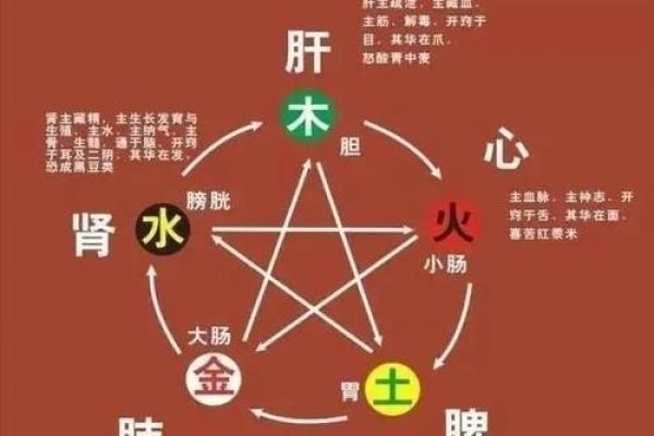 五行性格解析误区大揭秘：颠覆传统观念，反而更健康？
