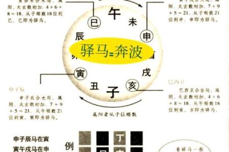 解析命理瘦的人八字中的转运秘诀