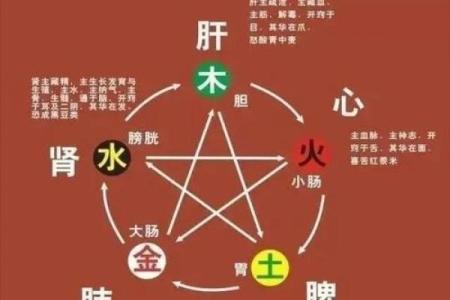 五行性格解析误区大揭秘：颠覆传统观念，反而更健康？