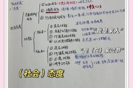 五行中的豆：颠覆传统性格解析，探索你的真实自我