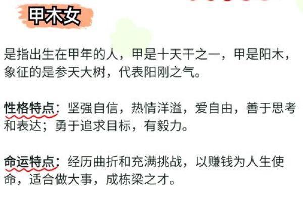 如何改变五行属性？揭秘帅气人格的蜕变之路