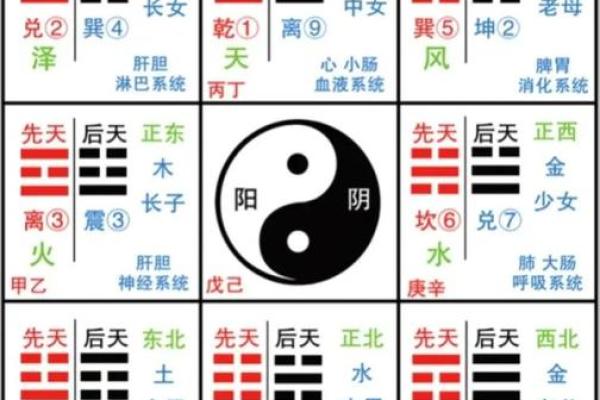 揭秘命理库查询：命运不同，如何通过八字调整走向？