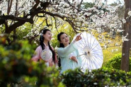 清明：踏青赏景，领略自然与节日的和谐美
