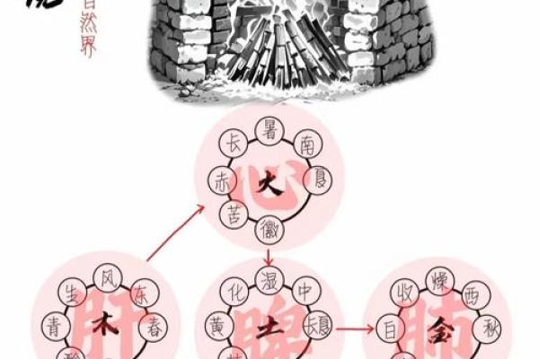 芷花五行探秘：揭秘性格解析，教你如何调整五行格局