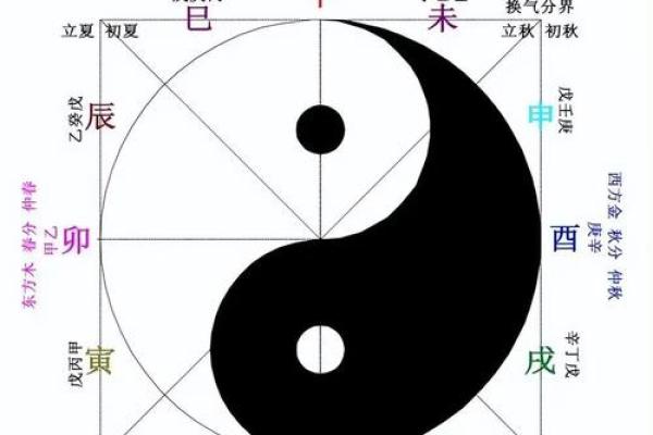 芷花五行探秘：揭秘性格解析，教你如何调整五行格局