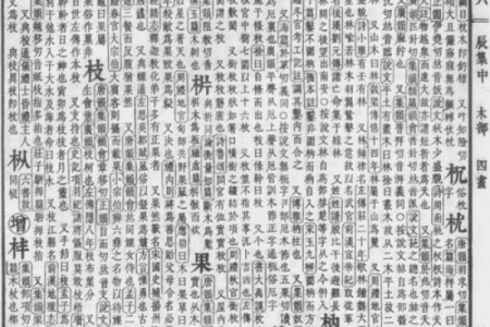 妍字五行格局误区大揭秘：颠覆传统性格解析