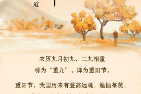 重阳节：登高望远，品味重阳养生