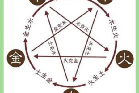 性格解析新视角：五行格局如何影响你的命运走向