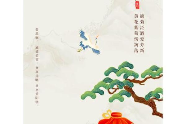 南京重阳：登高望远，老年养生的智慧