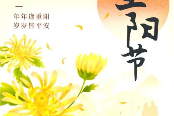 南京重阳：登高望远，老年养生的智慧