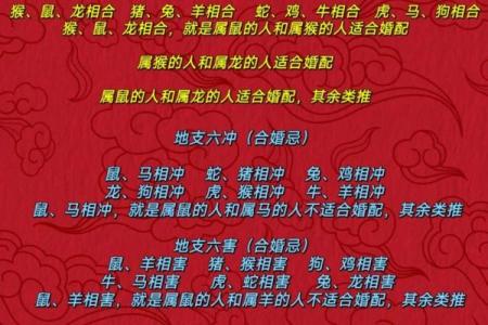 阴茎与命理合婚看什么？解析命运差异对婚姻的影响
