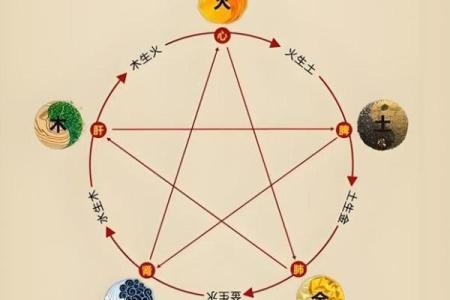 如何改变命运？嘉的五行性格布局，颠覆传统认知的实用指南