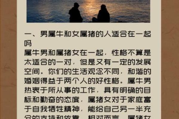 五行格局探秘：鲜字属何，你的性格该如何改变？