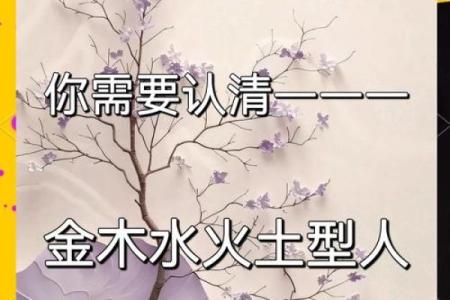 五行格局颠覆性解读：性格塑造的另类路径