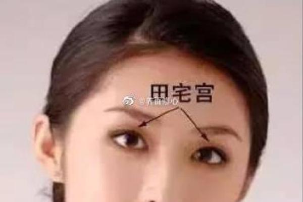 白龙命理实战揭秘：八字能否改变运势，合婚时需注意哪些细节？