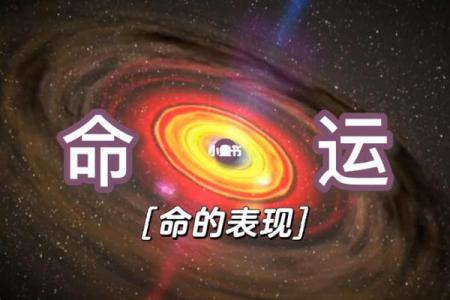 立冬命理揭秘：合婚如何看，能否改运让命运不同