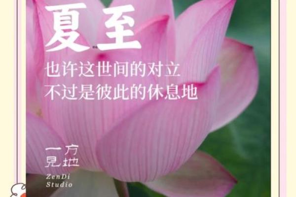夏至：迎接阳光，探索自然的神奇力量