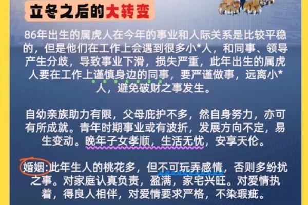 属虎人五行补缺秘籍：实用方法助你运势大提升