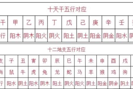 五行格局中的性格解析：如何找到你的天赋之路？