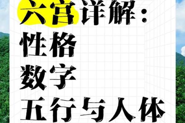 桐木格局揭秘：如何通过五行解析你的性格特质？