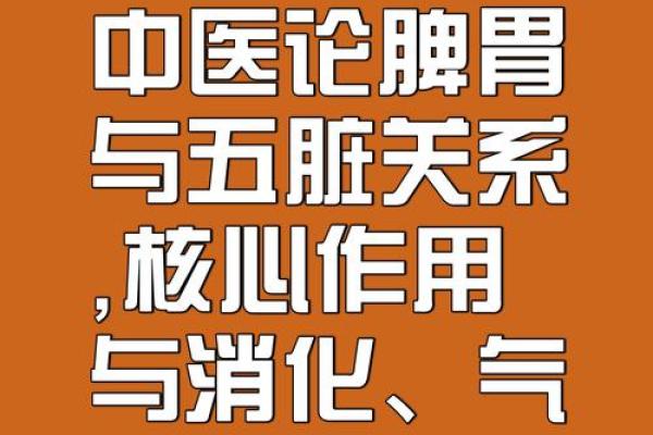 五行格局下的胃相学：性格解析与改变技巧，打破养生误区束缚