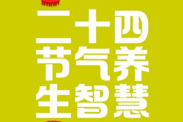 黄道节日：自然节气与养生智慧