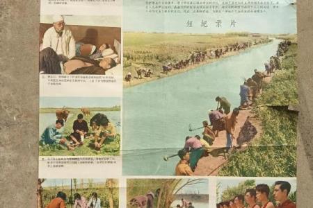 傣族送瘟节：驱邪避灾，探索傣族独特的健康养生传统