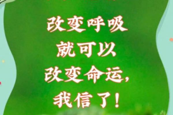 五行格局重塑术：刘如何改变命运，成就非凡事业？