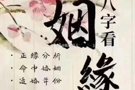 号码命理分析：命运能改变吗？如何通过合婚看人生走向