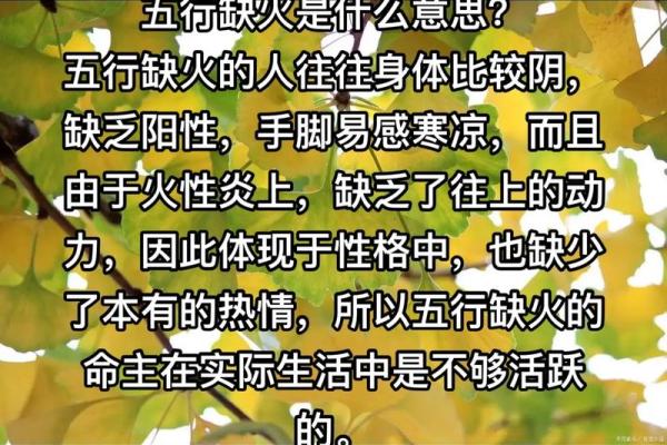 五行性格解析：避开这些误区，让你的人生更精彩
