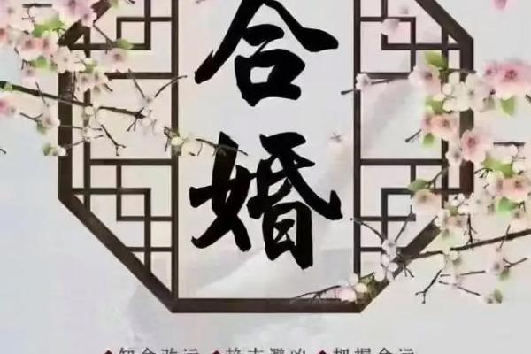 揭秘阴阳命理奇人：能改运吗？合婚看什么？命运为何不同？