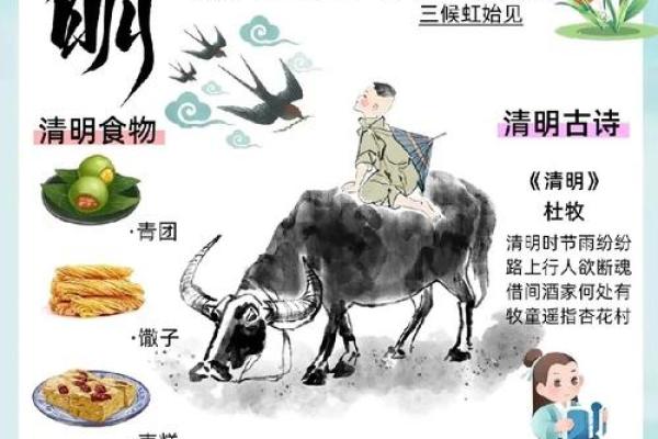 清明节：清明节的传统习俗与节气养生