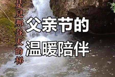 父亲节：感恩父爱，传承家庭文化的温情