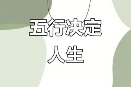 性格解析新视角：洋五行属性如何影响你的人生？