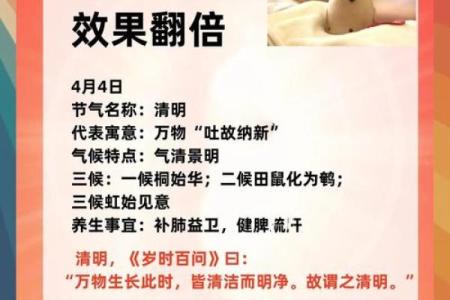 清明节：清明节的传统习俗与节气养生