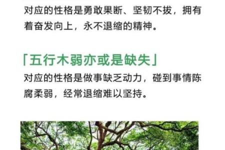 五行格局中的万字之谜：揭秘你的性格特质与改变之道