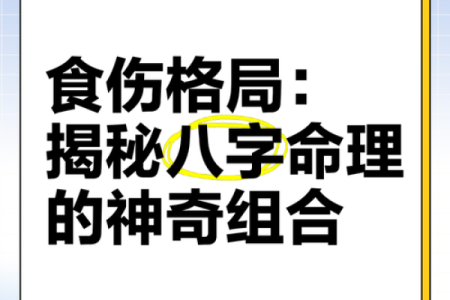 命理格局大揭秘：哪些格局能改运，哪些注定难以改变？