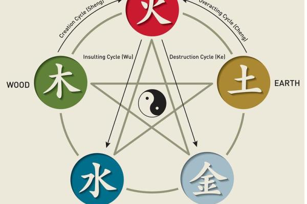 木命缺木，五行格局优化指南：改变从了解自己开始